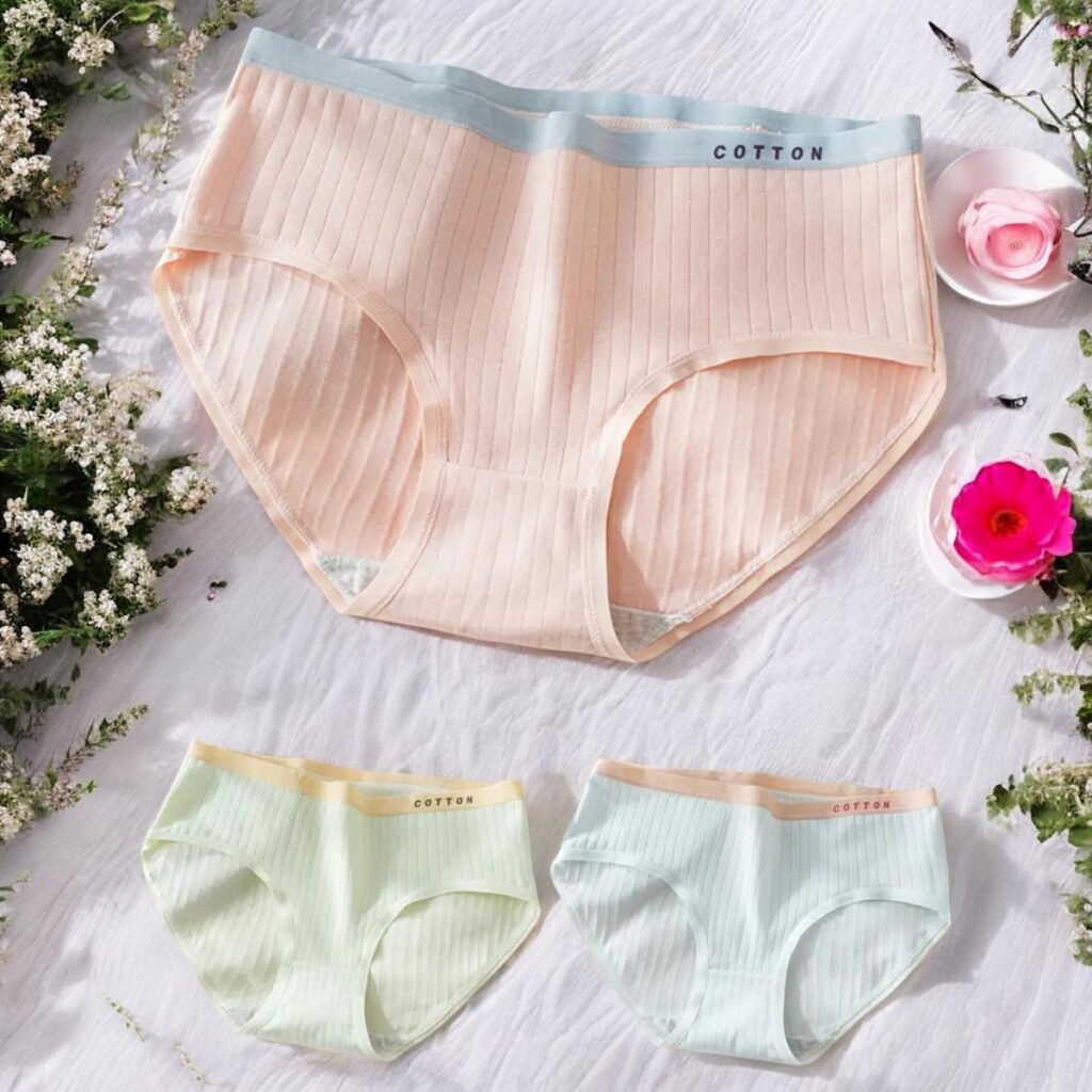 3pcs Elegant Ribbed Briefs Stretchy Women’s Underwear.